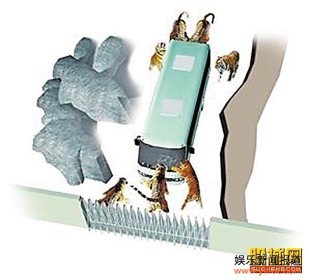 游客遭虎群围攻